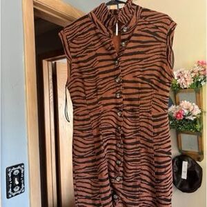 Free People Brown and Black Striped Dress